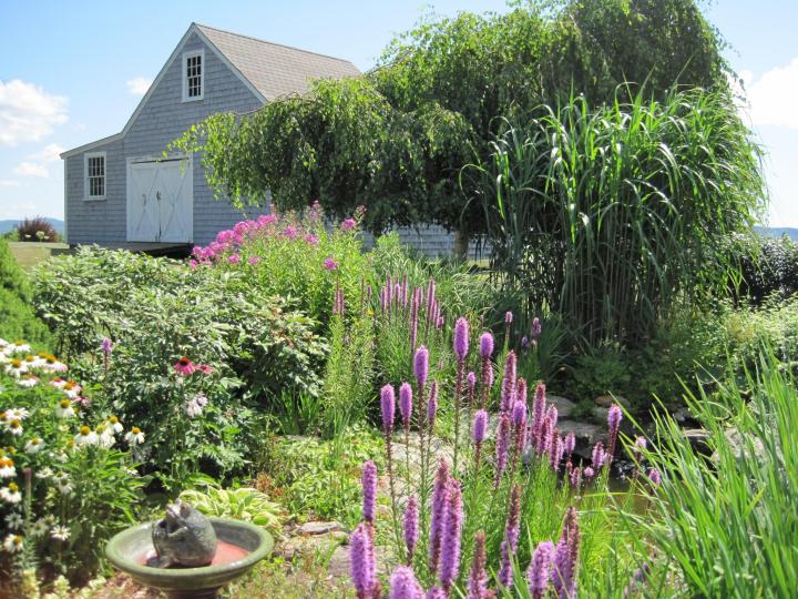 How to Start a Flower Garden Design Tips and Ideas The Old Farmer's